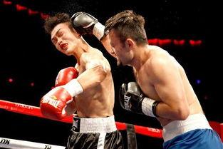 拳击迷麦考尔爆料视频,独家爆料视频曝光惊人真相