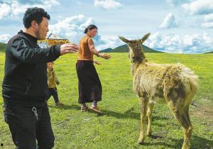 谁爆料鹿家门口的人呢视频,视频爆料背后的真相  第2张